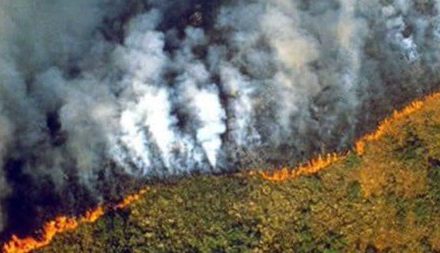 Especial «Apoyo a Gran Canaria»: Dos incendios mortales
